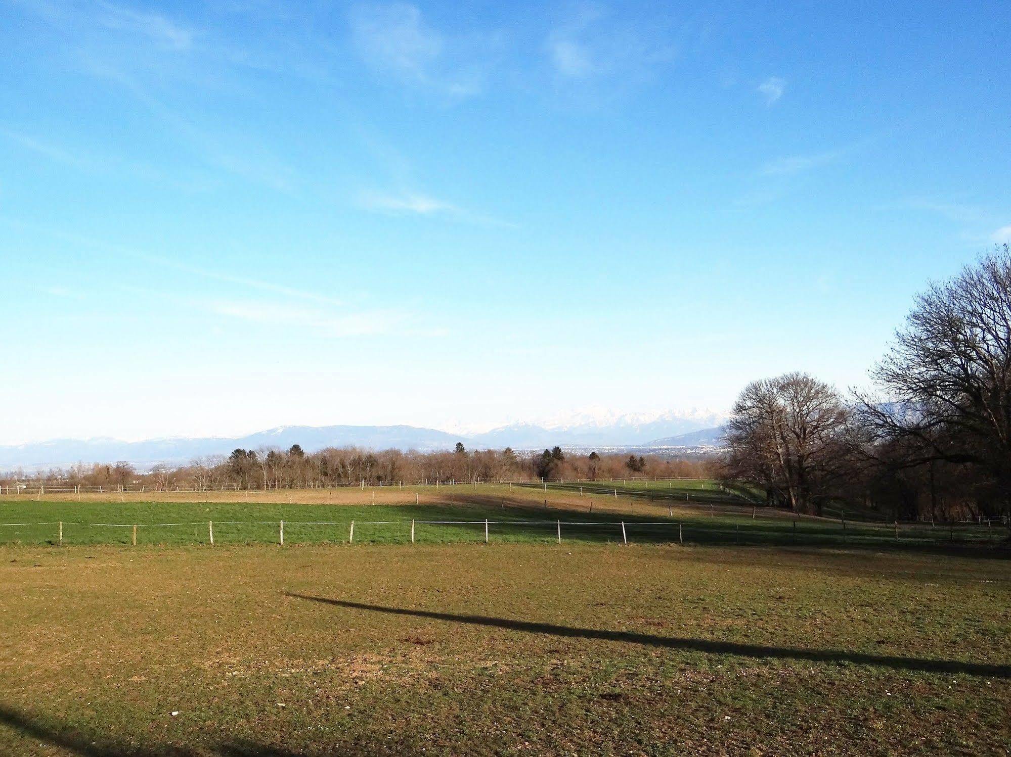 Auberge Des Chasseurs Échenevex Exteriör bild